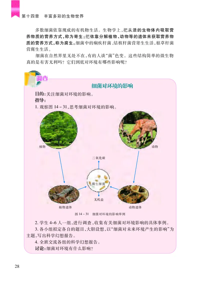 苏教版8年级生物上册高清教材_4-教培资料-26年最新资料-同步更新_初中高中教资_03科三专项（进去保存报考的学科即可）_02科三专项（笔记真题思维导图教学设计版本二）