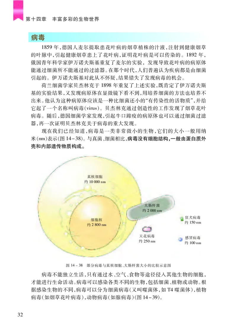 苏教版8年级生物上册高清教材_4-教培资料-26年最新资料-同步更新_初中高中教资_03科三专项（进去保存报考的学科即可）_02科三专项（笔记真题思维导图教学设计版本二）