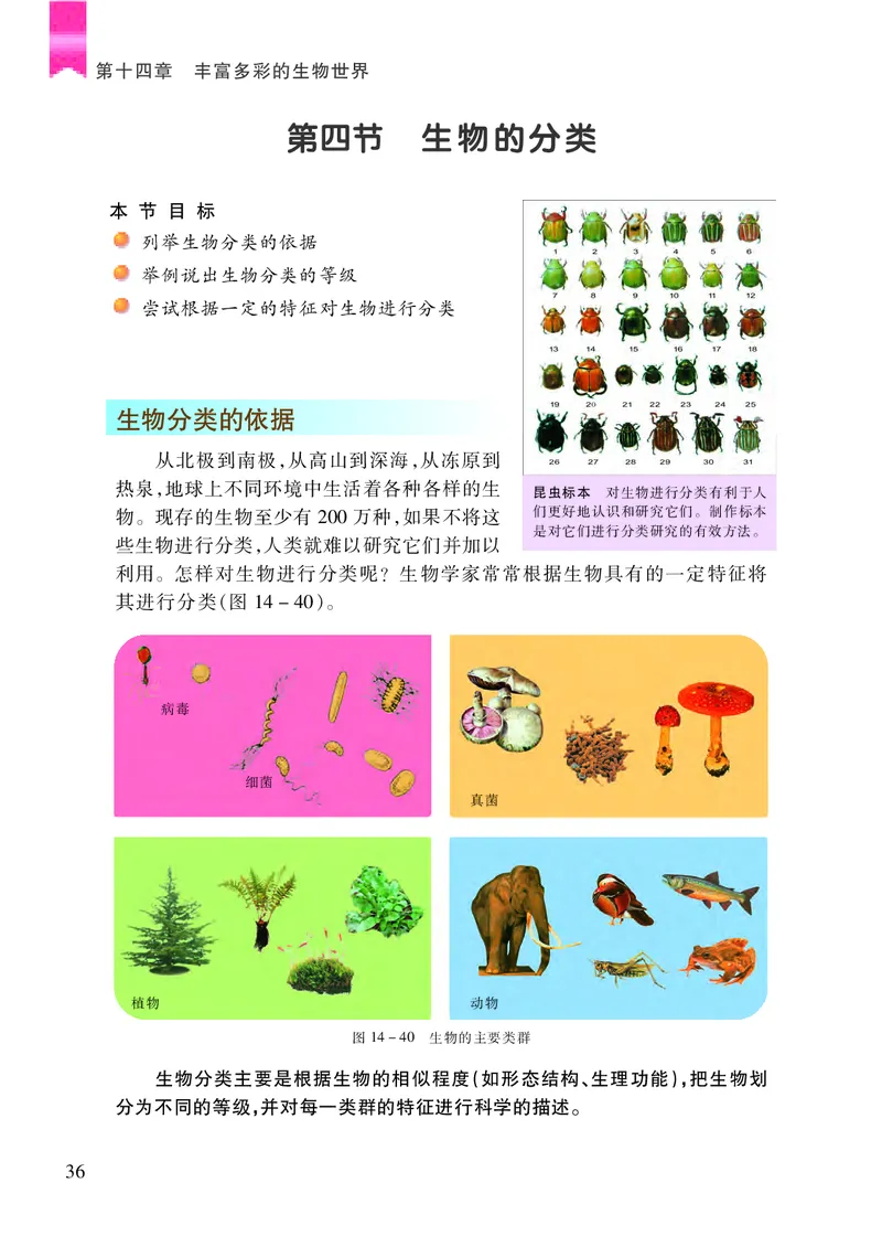 苏教版8年级生物上册高清教材_4-教培资料-26年最新资料-同步更新_初中高中教资_03科三专项（进去保存报考的学科即可）_02科三专项（笔记真题思维导图教学设计版本二）