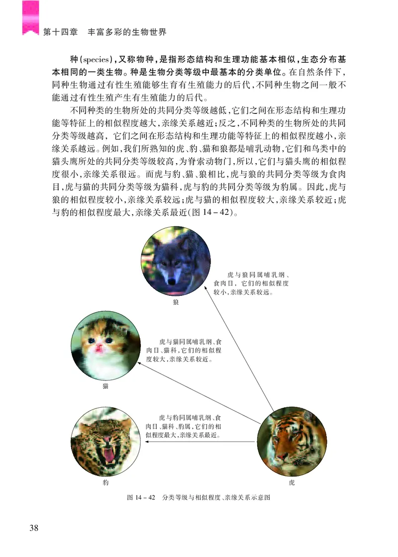 苏教版8年级生物上册高清教材_4-教培资料-26年最新资料-同步更新_初中高中教资_03科三专项（进去保存报考的学科即可）_02科三专项（笔记真题思维导图教学设计版本二）