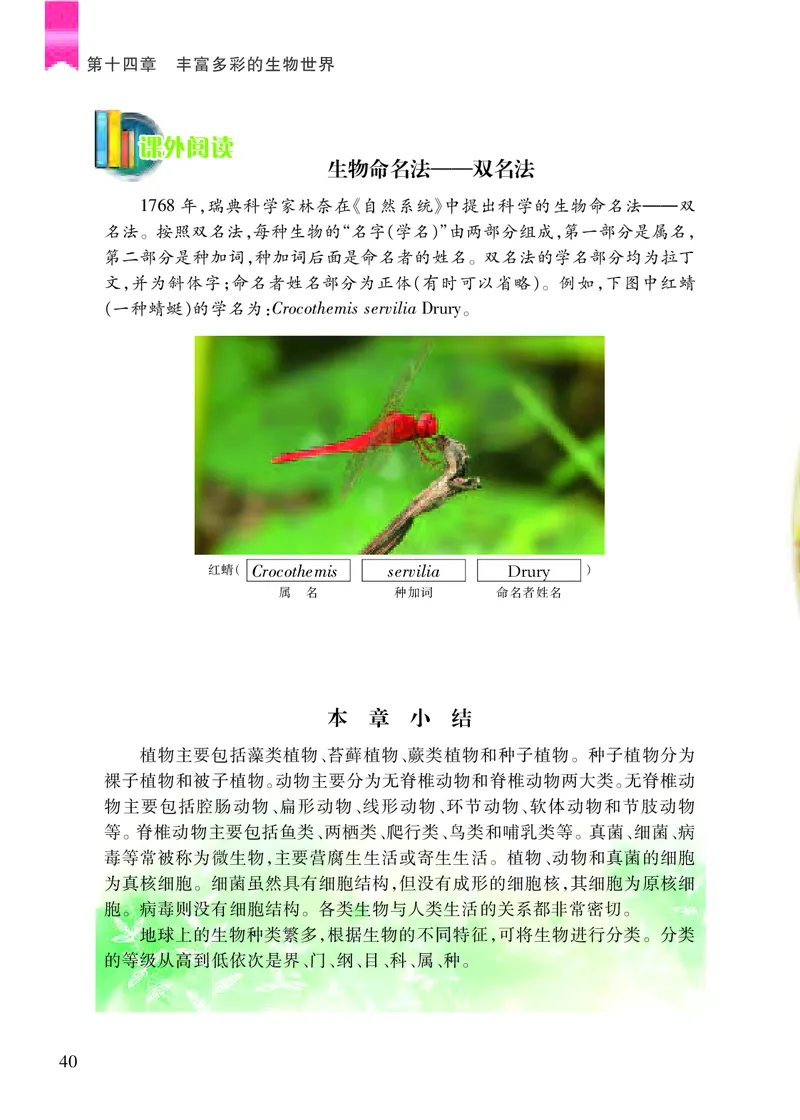 苏教版8年级生物上册高清教材_4-教培资料-26年最新资料-同步更新_初中高中教资_03科三专项（进去保存报考的学科即可）_02科三专项（笔记真题思维导图教学设计版本二）