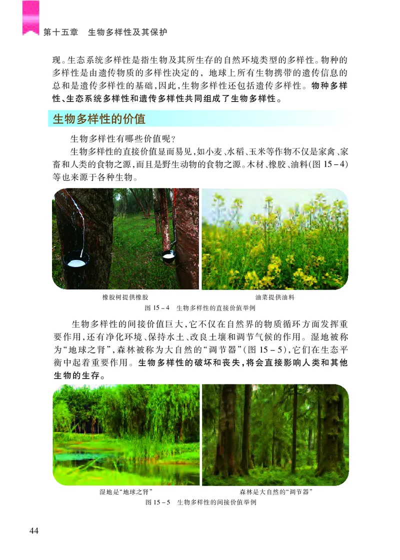 苏教版8年级生物上册高清教材_4-教培资料-26年最新资料-同步更新_初中高中教资_03科三专项（进去保存报考的学科即可）_02科三专项（笔记真题思维导图教学设计版本二）