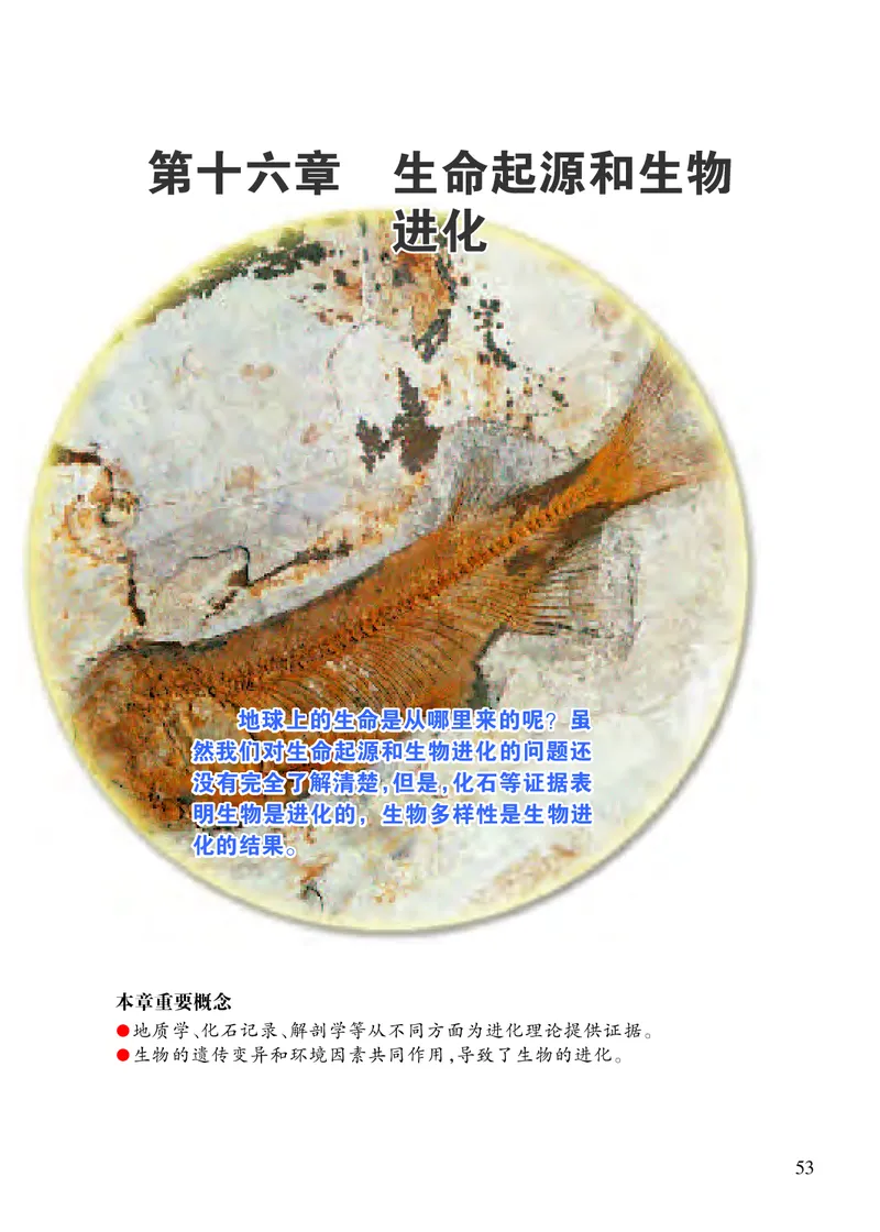 苏教版8年级生物上册高清教材_4-教培资料-26年最新资料-同步更新_初中高中教资_03科三专项（进去保存报考的学科即可）_02科三专项（笔记真题思维导图教学设计版本二）