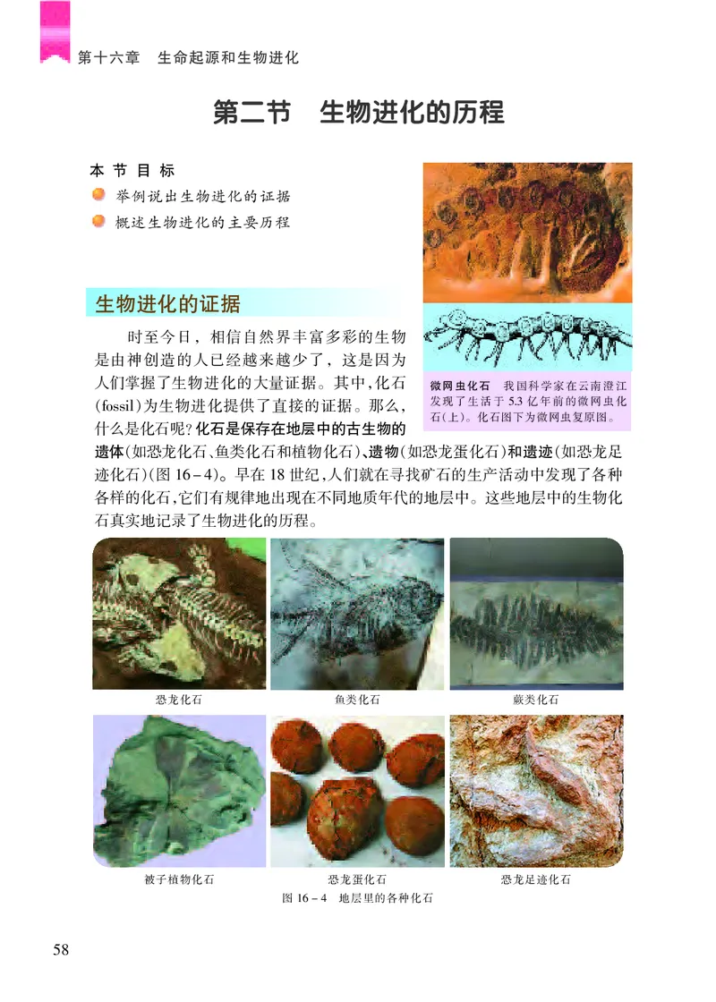 苏教版8年级生物上册高清教材_4-教培资料-26年最新资料-同步更新_初中高中教资_03科三专项（进去保存报考的学科即可）_02科三专项（笔记真题思维导图教学设计版本二）
