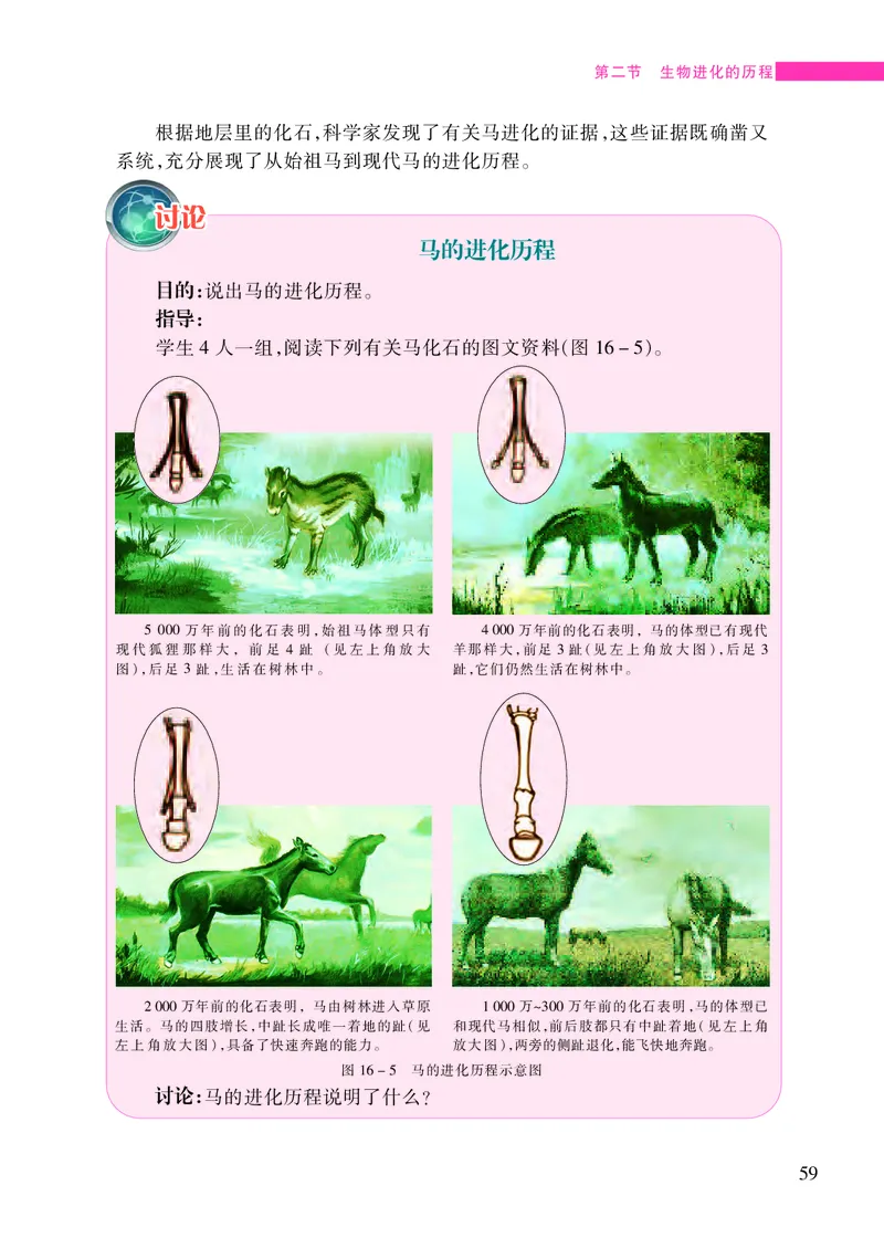 苏教版8年级生物上册高清教材_4-教培资料-26年最新资料-同步更新_初中高中教资_03科三专项（进去保存报考的学科即可）_02科三专项（笔记真题思维导图教学设计版本二）