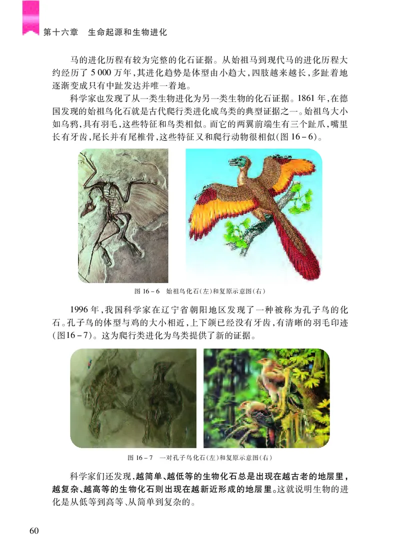 苏教版8年级生物上册高清教材_4-教培资料-26年最新资料-同步更新_初中高中教资_03科三专项（进去保存报考的学科即可）_02科三专项（笔记真题思维导图教学设计版本二）