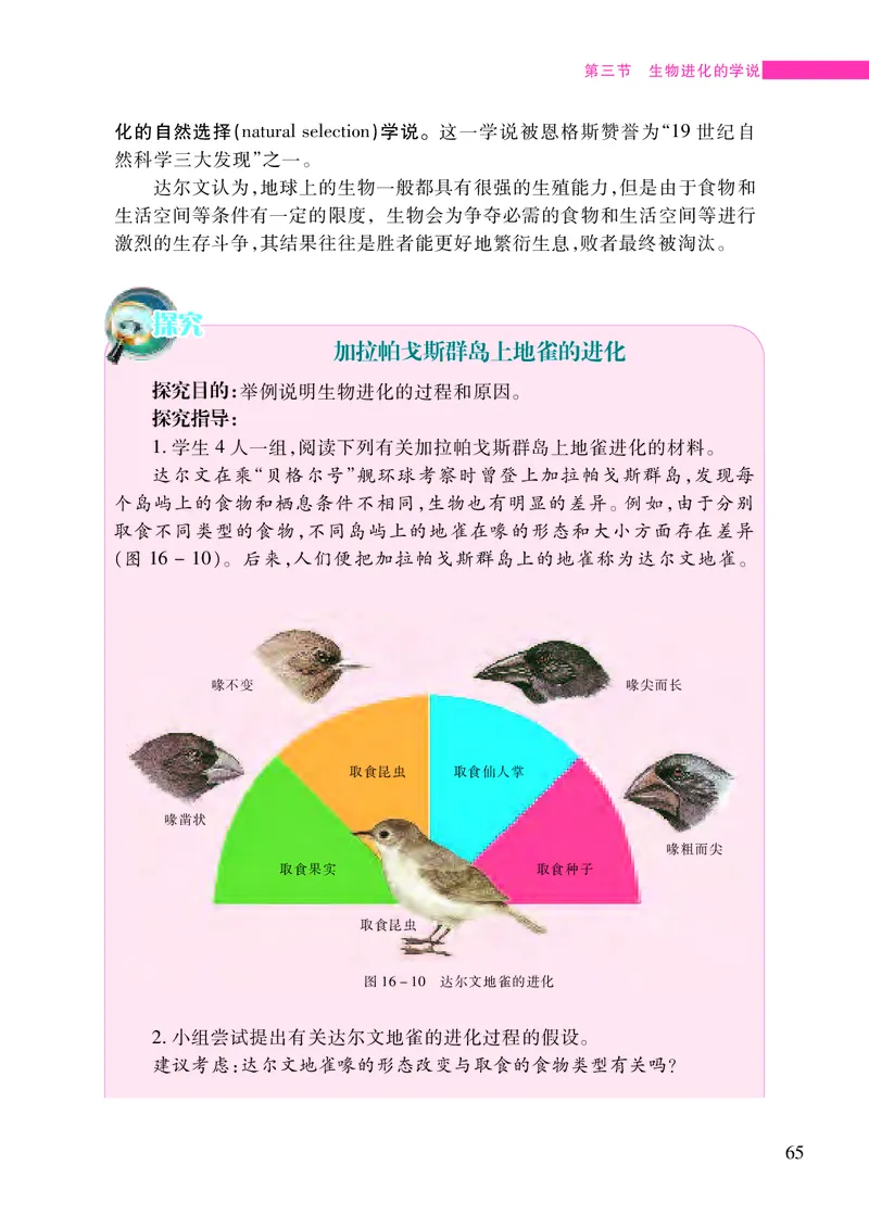 苏教版8年级生物上册高清教材_4-教培资料-26年最新资料-同步更新_初中高中教资_03科三专项（进去保存报考的学科即可）_02科三专项（笔记真题思维导图教学设计版本二）