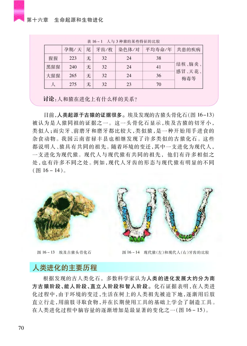 苏教版8年级生物上册高清教材_4-教培资料-26年最新资料-同步更新_初中高中教资_03科三专项（进去保存报考的学科即可）_02科三专项（笔记真题思维导图教学设计版本二）