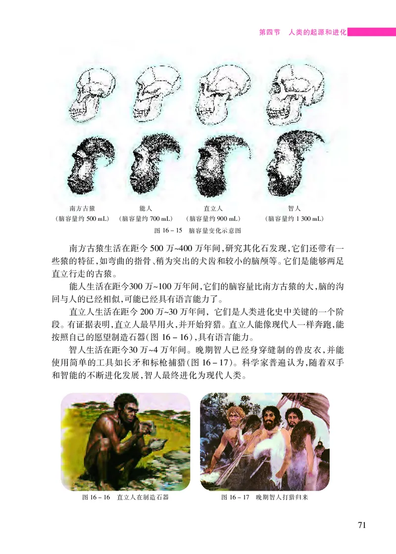 苏教版8年级生物上册高清教材_4-教培资料-26年最新资料-同步更新_初中高中教资_03科三专项（进去保存报考的学科即可）_02科三专项（笔记真题思维导图教学设计版本二）