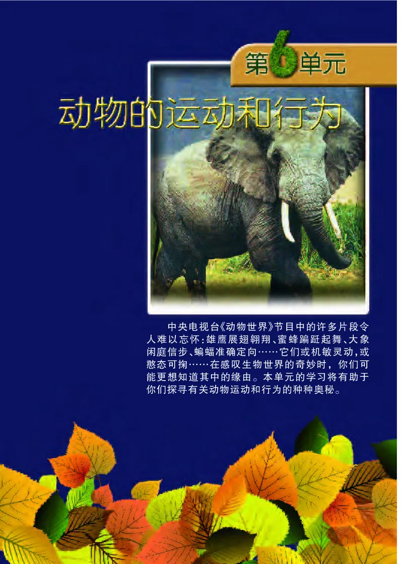 苏教版8年级生物上册高清教材_4-教培资料-26年最新资料-同步更新_初中高中教资_03科三专项（进去保存报考的学科即可）_02科三专项（笔记真题思维导图教学设计版本二）