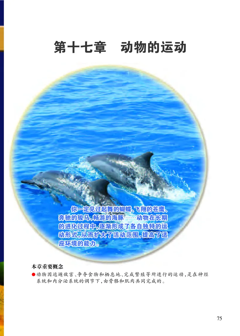 苏教版8年级生物上册高清教材_4-教培资料-26年最新资料-同步更新_初中高中教资_03科三专项（进去保存报考的学科即可）_02科三专项（笔记真题思维导图教学设计版本二）