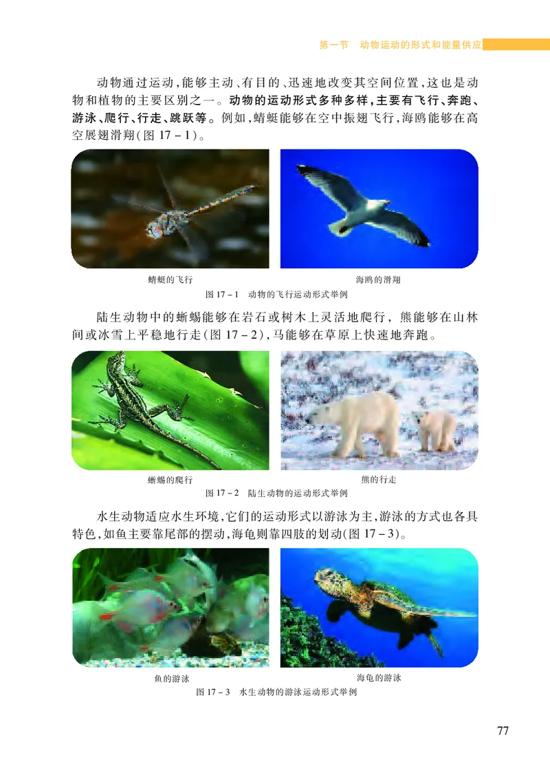 苏教版8年级生物上册高清教材_4-教培资料-26年最新资料-同步更新_初中高中教资_03科三专项（进去保存报考的学科即可）_02科三专项（笔记真题思维导图教学设计版本二）
