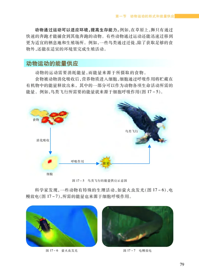 苏教版8年级生物上册高清教材_4-教培资料-26年最新资料-同步更新_初中高中教资_03科三专项（进去保存报考的学科即可）_02科三专项（笔记真题思维导图教学设计版本二）
