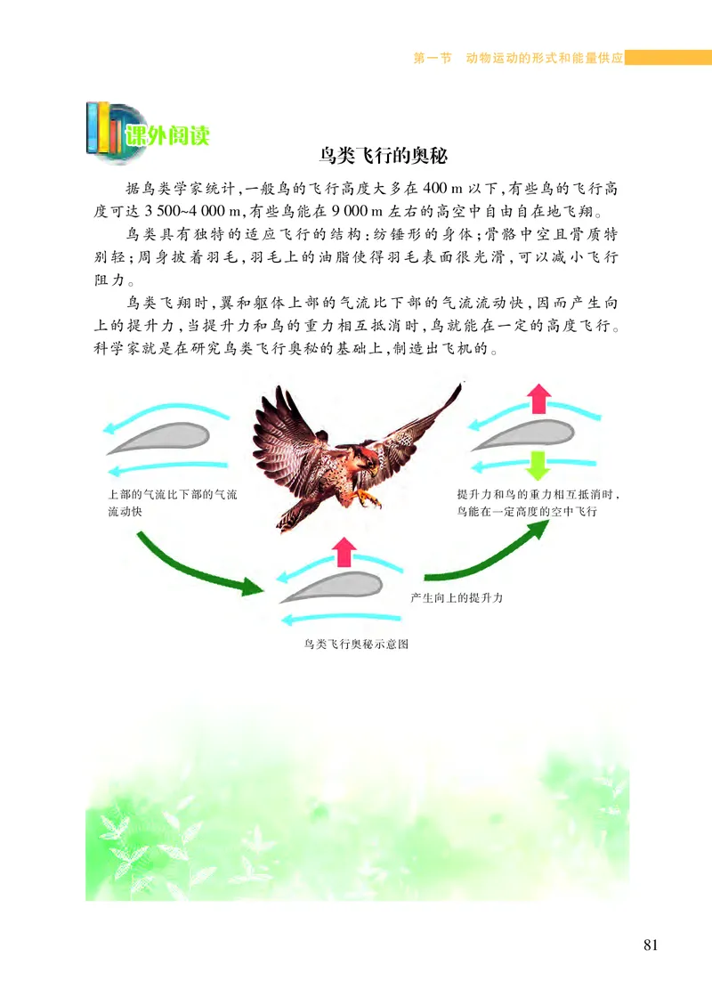 苏教版8年级生物上册高清教材_4-教培资料-26年最新资料-同步更新_初中高中教资_03科三专项（进去保存报考的学科即可）_02科三专项（笔记真题思维导图教学设计版本二）