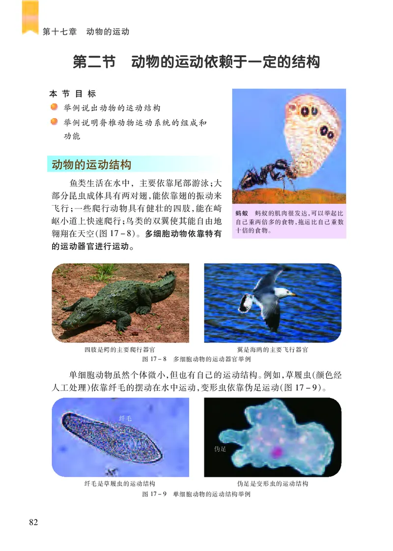 苏教版8年级生物上册高清教材_4-教培资料-26年最新资料-同步更新_初中高中教资_03科三专项（进去保存报考的学科即可）_02科三专项（笔记真题思维导图教学设计版本二）
