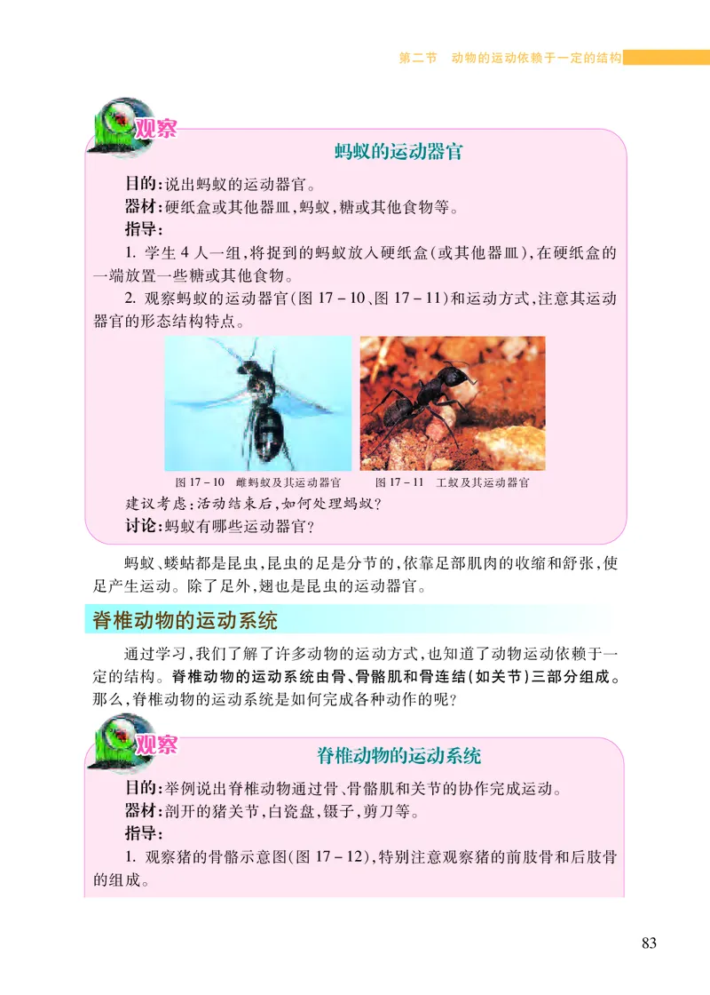 苏教版8年级生物上册高清教材_4-教培资料-26年最新资料-同步更新_初中高中教资_03科三专项（进去保存报考的学科即可）_02科三专项（笔记真题思维导图教学设计版本二）