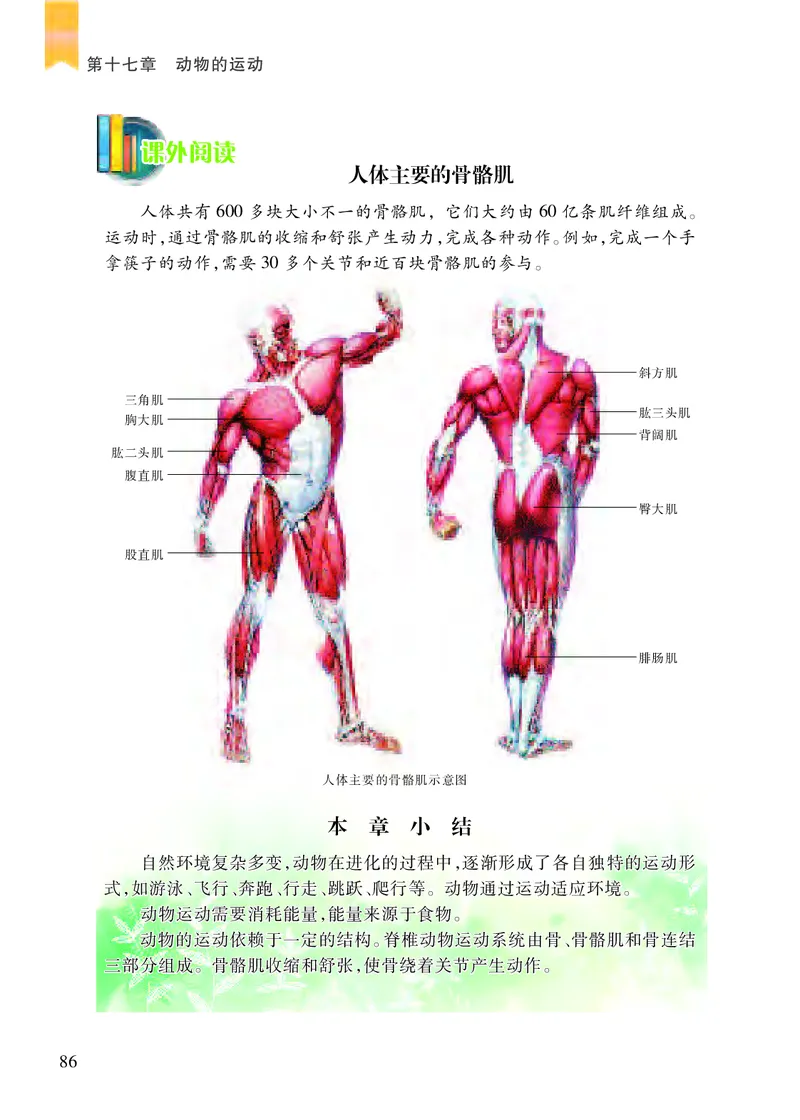 苏教版8年级生物上册高清教材_4-教培资料-26年最新资料-同步更新_初中高中教资_03科三专项（进去保存报考的学科即可）_02科三专项（笔记真题思维导图教学设计版本二）