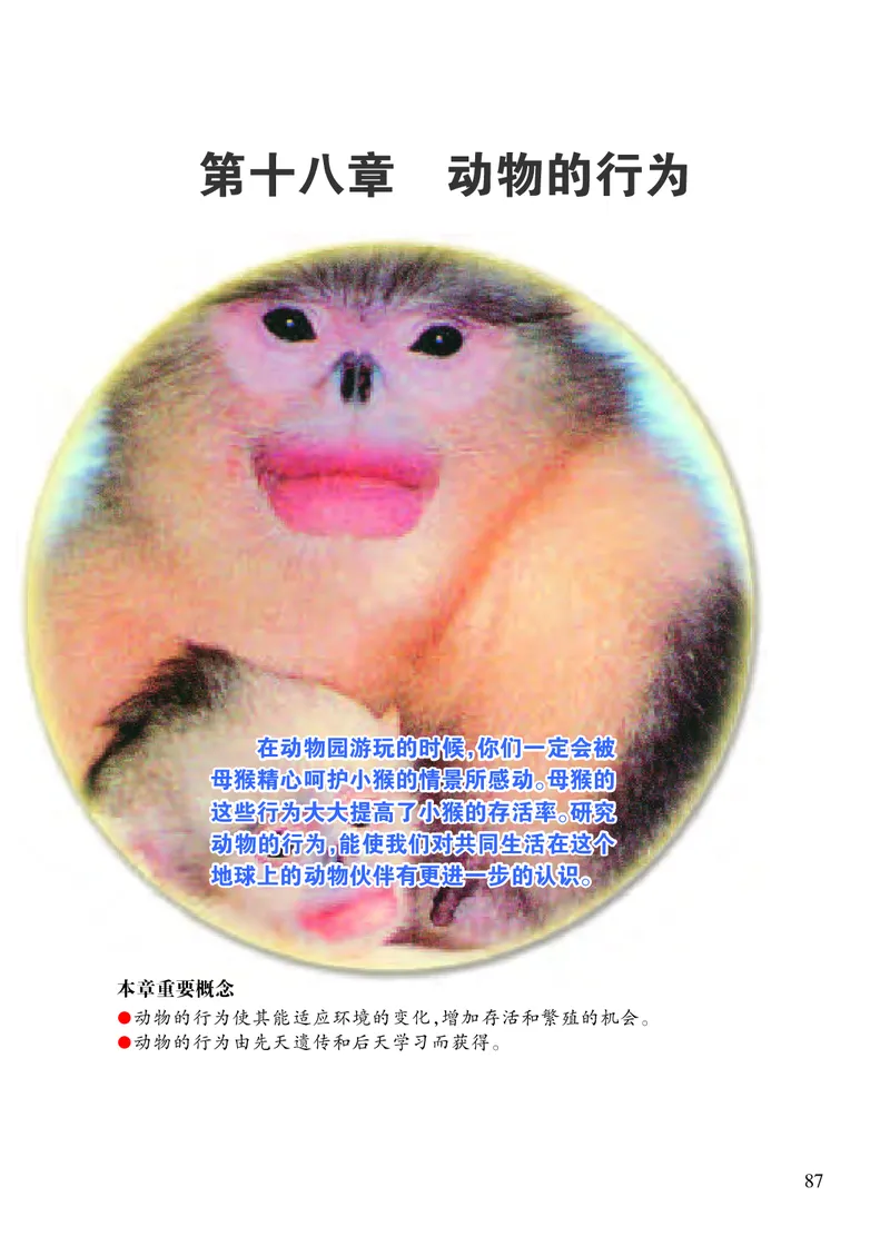 苏教版8年级生物上册高清教材_4-教培资料-26年最新资料-同步更新_初中高中教资_03科三专项（进去保存报考的学科即可）_02科三专项（笔记真题思维导图教学设计版本二）