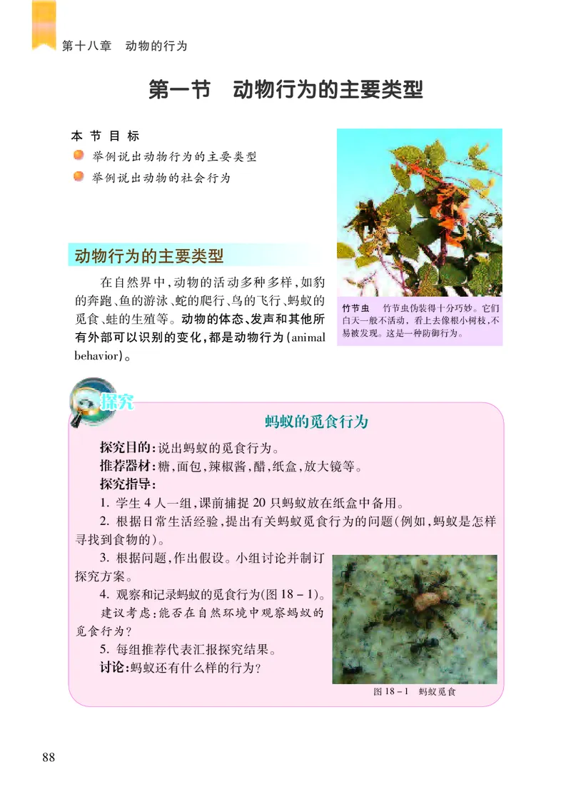 苏教版8年级生物上册高清教材_4-教培资料-26年最新资料-同步更新_初中高中教资_03科三专项（进去保存报考的学科即可）_02科三专项（笔记真题思维导图教学设计版本二）
