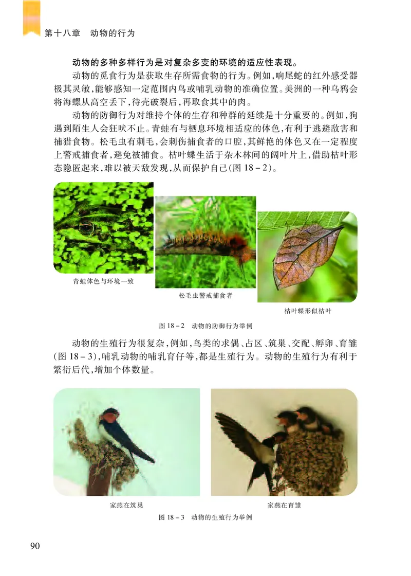 苏教版8年级生物上册高清教材_4-教培资料-26年最新资料-同步更新_初中高中教资_03科三专项（进去保存报考的学科即可）_02科三专项（笔记真题思维导图教学设计版本二）