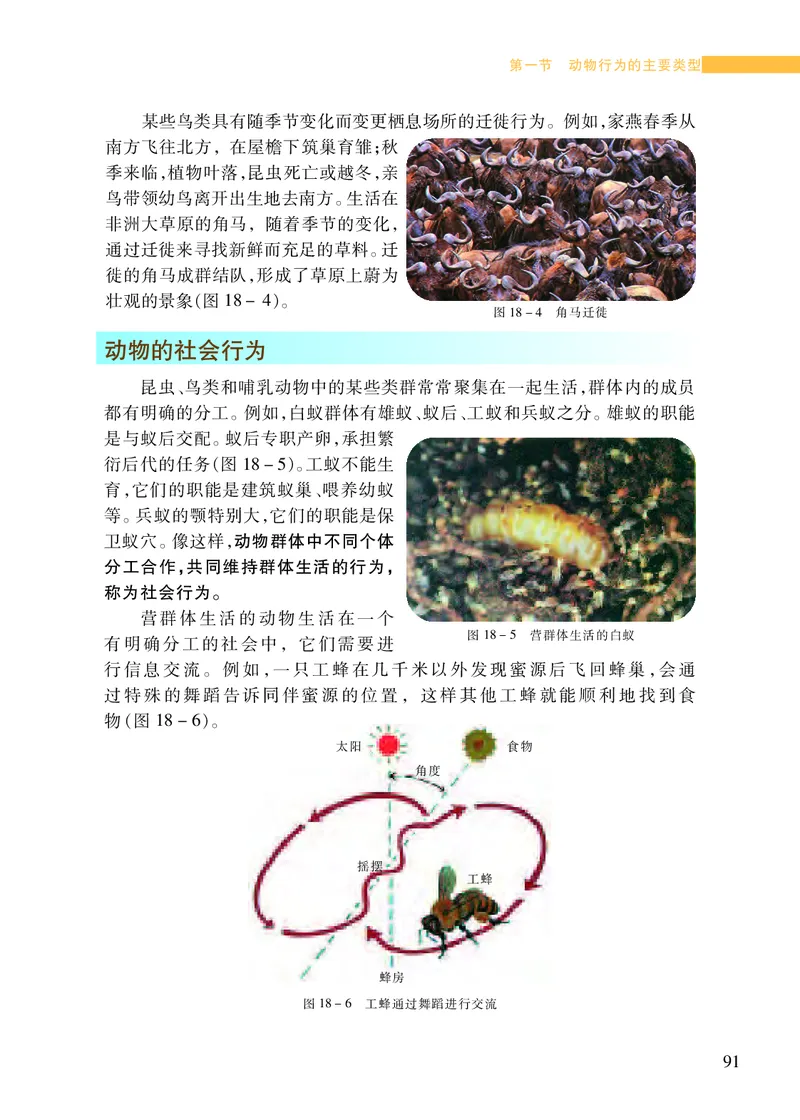 苏教版8年级生物上册高清教材_4-教培资料-26年最新资料-同步更新_初中高中教资_03科三专项（进去保存报考的学科即可）_02科三专项（笔记真题思维导图教学设计版本二）