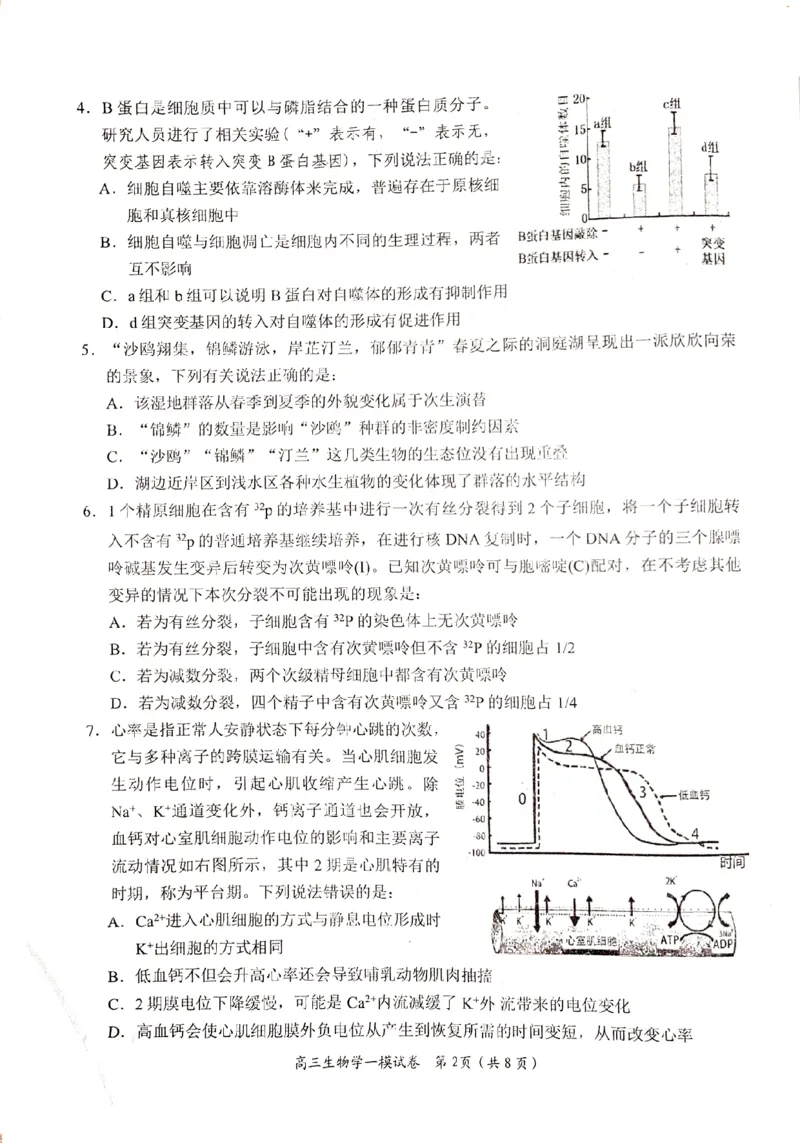 湖南省岳阳市2024届高三上学期质量监测（一）生物试题_2024届湖南省岳阳市高三第一次教学质量监测（岳阳一模）_湖南省岳阳市2024届高三第一次教学质量监测（岳阳一模）生物