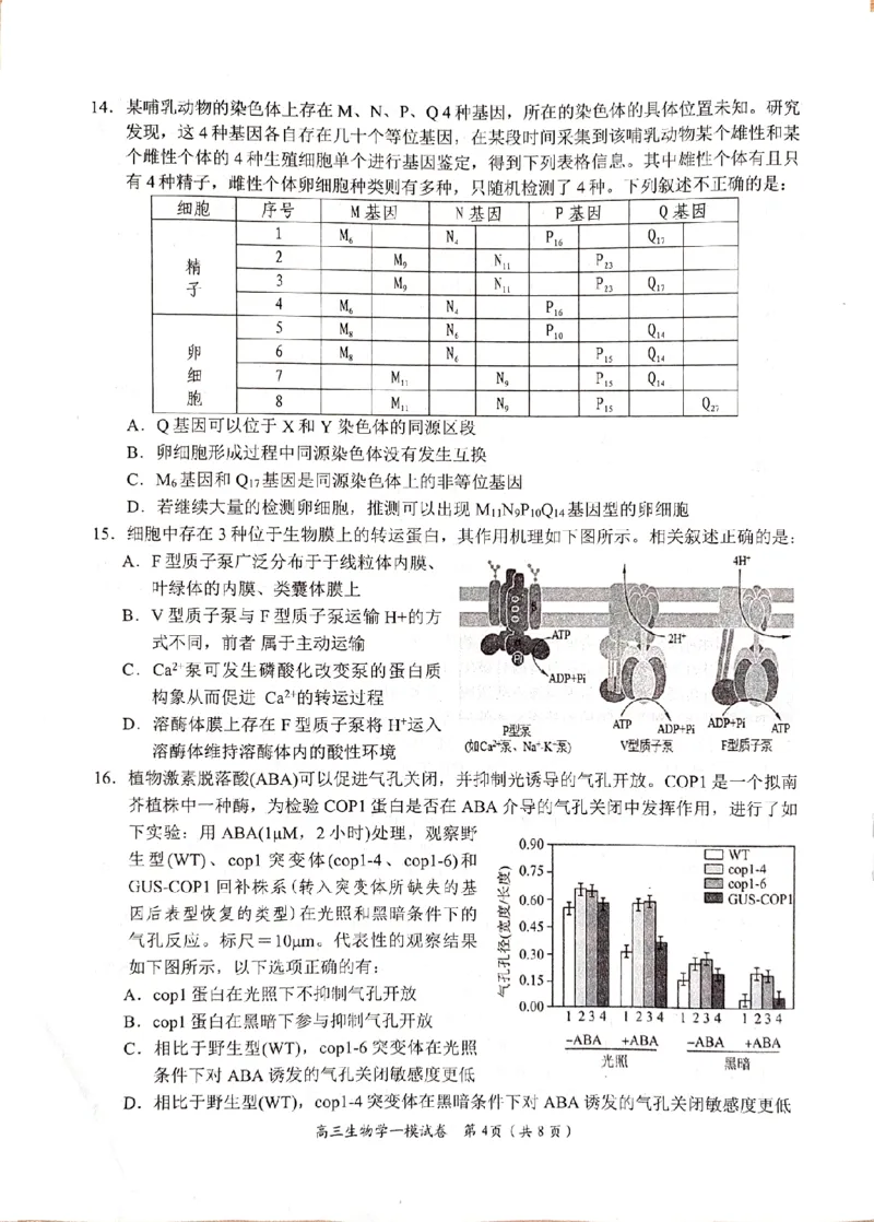 湖南省岳阳市2024届高三上学期质量监测（一）生物试题_2024届湖南省岳阳市高三第一次教学质量监测（岳阳一模）_湖南省岳阳市2024届高三第一次教学质量监测（岳阳一模）生物