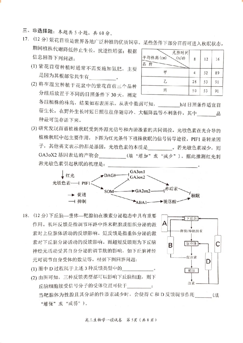 湖南省岳阳市2024届高三上学期质量监测（一）生物试题_2024届湖南省岳阳市高三第一次教学质量监测（岳阳一模）_湖南省岳阳市2024届高三第一次教学质量监测（岳阳一模）生物