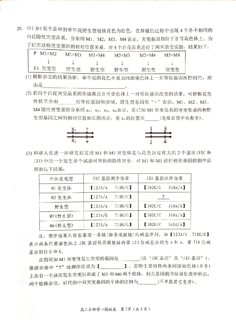 湖南省岳阳市2024届高三上学期质量监测（一）生物试题_2024届湖南省岳阳市高三第一次教学质量监测（岳阳一模）_湖南省岳阳市2024届高三第一次教学质量监测（岳阳一模）生物