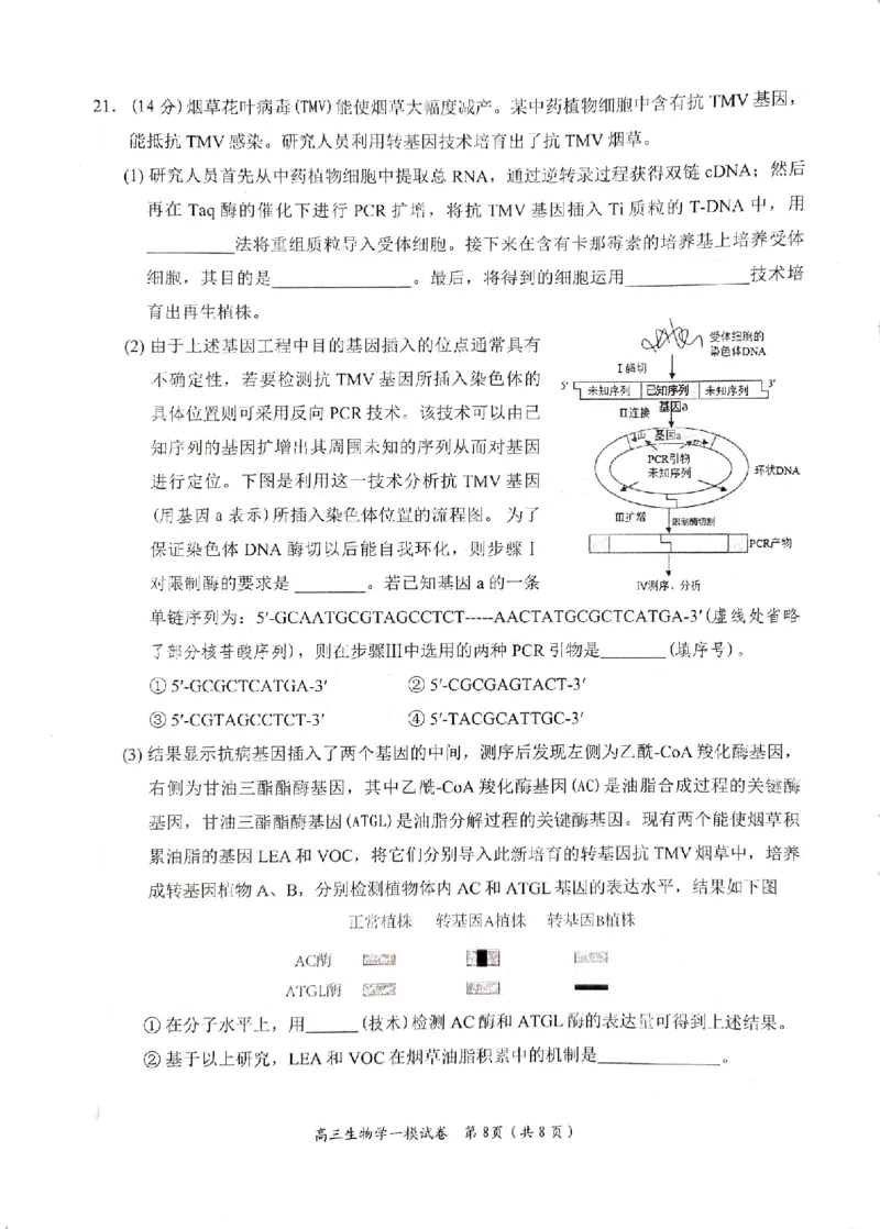 湖南省岳阳市2024届高三上学期质量监测（一）生物试题_2024届湖南省岳阳市高三第一次教学质量监测（岳阳一模）_湖南省岳阳市2024届高三第一次教学质量监测（岳阳一模）生物