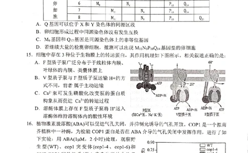 湖南省岳阳市2024届高三上学期质量监测（一）生物试题_2024届湖南省岳阳市高三第一次教学质量监测（岳阳一模）_湖南省岳阳市2024届高三第一次教学质量监测（岳阳一模）生物