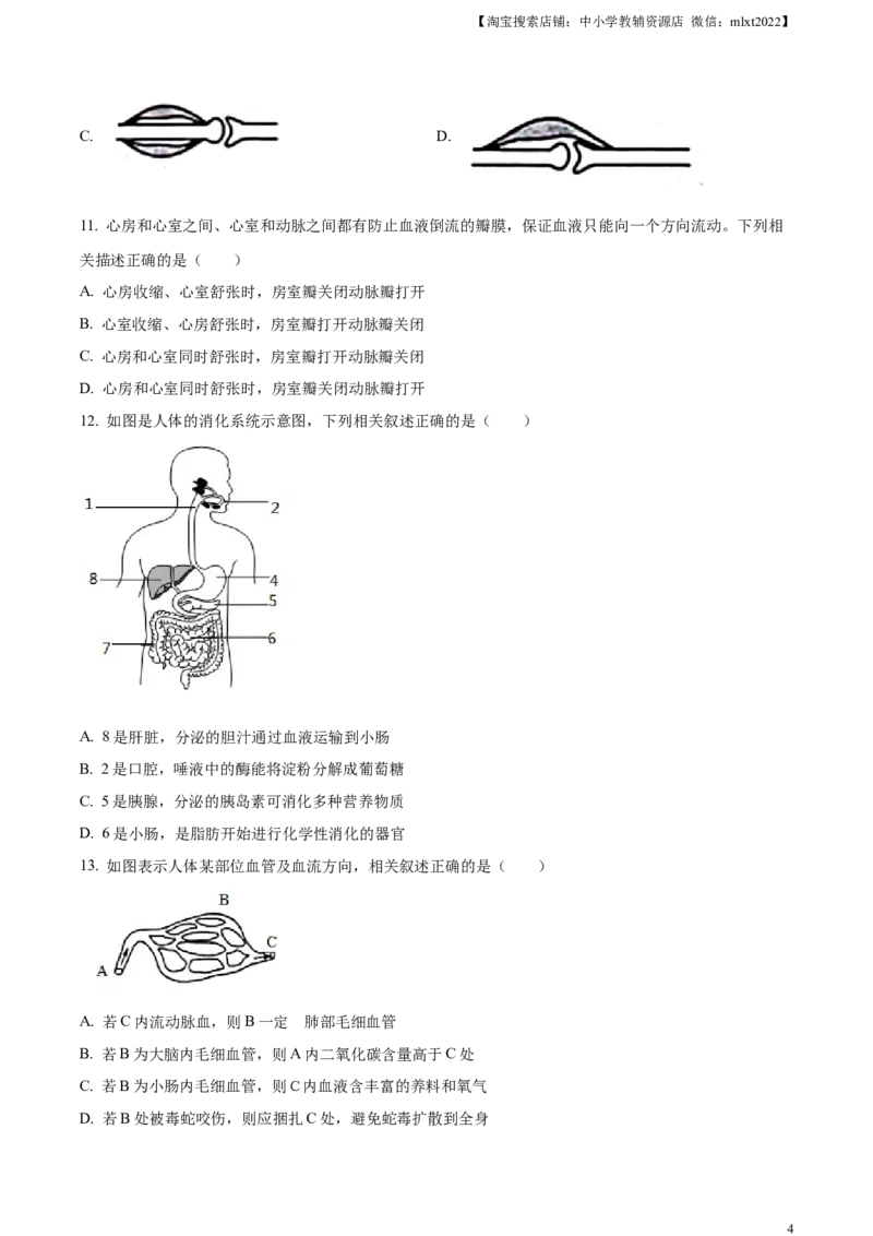 精品解析：2023年山东省滨州市中考生物真题（原卷版）(1)_中考真题_8.生物中考真题2015-2024年_2023年全国中考生物7.20_精品解析：2023年山东省滨州市中考生物真题