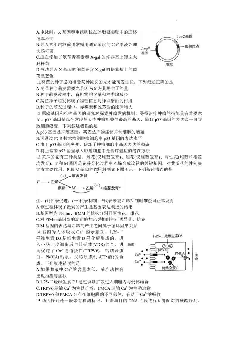 广东省深圳市宝安区2024届高三上学期期末考试（金太阳24-256C）生物_2024届广东省深圳市宝安区高三上学期期末考试（金太阳24-256C）