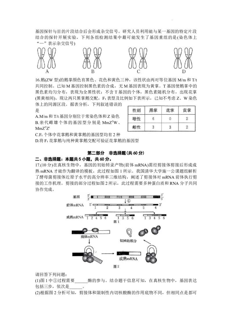 广东省深圳市宝安区2024届高三上学期期末考试（金太阳24-256C）生物_2024届广东省深圳市宝安区高三上学期期末考试（金太阳24-256C）