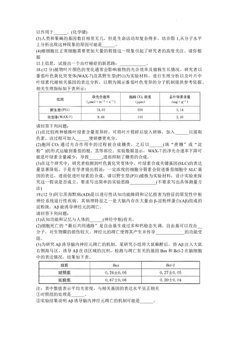 广东省深圳市宝安区2024届高三上学期期末考试（金太阳24-256C）生物_2024届广东省深圳市宝安区高三上学期期末考试（金太阳24-256C）
