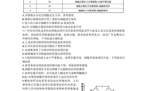 广东省深圳市宝安区2024届高三上学期期末考试（金太阳24-256C）生物_2024届广东省深圳市宝安区高三上学期期末考试（金太阳24-256C）