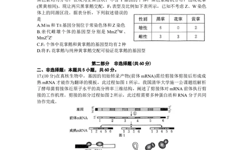 广东省深圳市宝安区2024届高三上学期期末考试（金太阳24-256C）生物_2024届广东省深圳市宝安区高三上学期期末考试（金太阳24-256C）