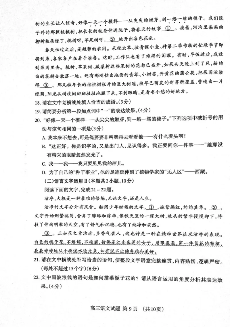 山东省泰安市2023-2024学年高三上学期期末考试语文试题_2024届山东省泰安市高三上学期期末考试_山东省泰安市2024届高三上学期期末考试语文