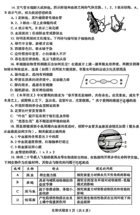 2025烟台中考生物真题试卷_2025全国各地《中考真题试卷及答案》_2025烟台中考真题及答案