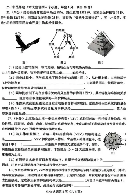 2025烟台中考生物真题试卷_2025全国各地《中考真题试卷及答案》_2025烟台中考真题及答案