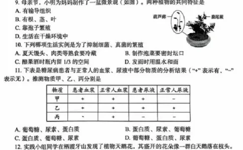 2025烟台中考生物真题试卷_2025全国各地《中考真题试卷及答案》_2025烟台中考真题及答案