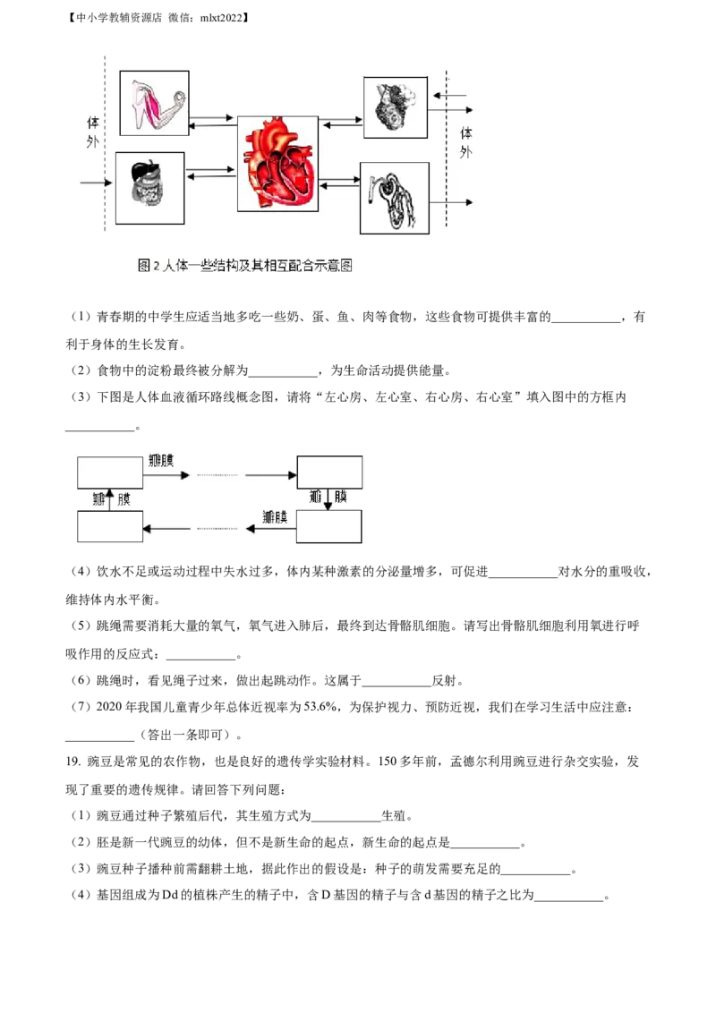 精品解析：2022年湖北省襄阳市中考生物真题（原卷版）_中考真题_8.生物中考真题2015-2024年_2022年全国中考生物114份14