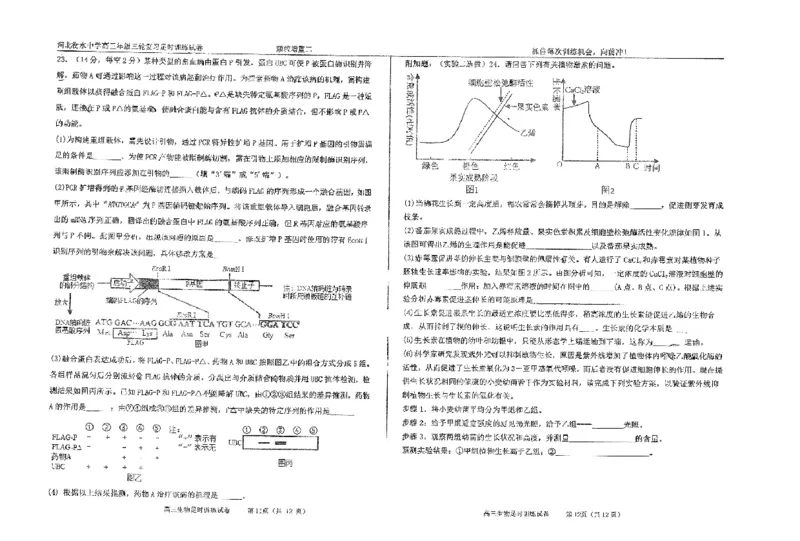 生物四轮冲刺终极押题卷_2025年6月_250605河北省衡水中学2025届高三6月押题密卷