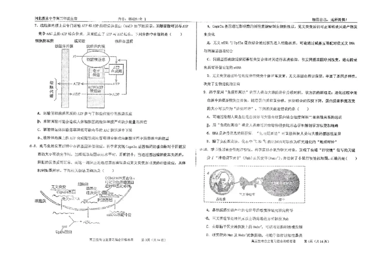 生物四轮冲刺终极押题卷_2025年6月_250605河北省衡水中学2025届高三6月押题密卷