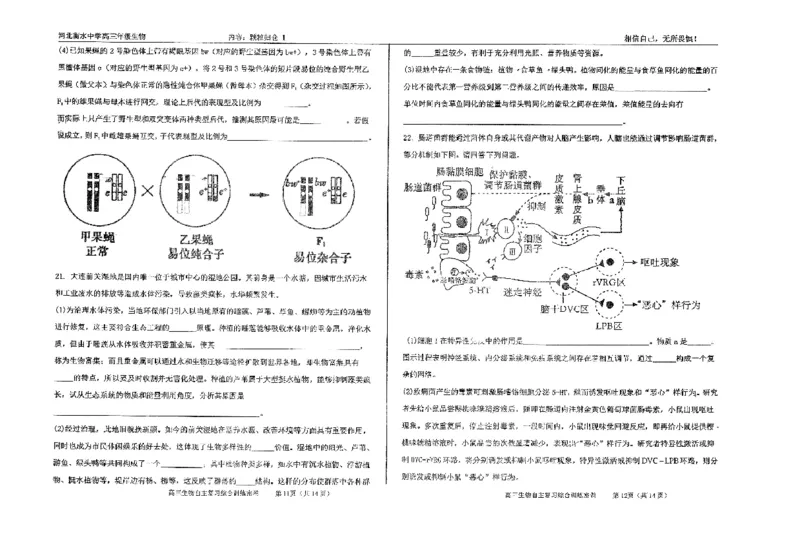 生物四轮冲刺终极押题卷_2025年6月_250605河北省衡水中学2025届高三6月押题密卷