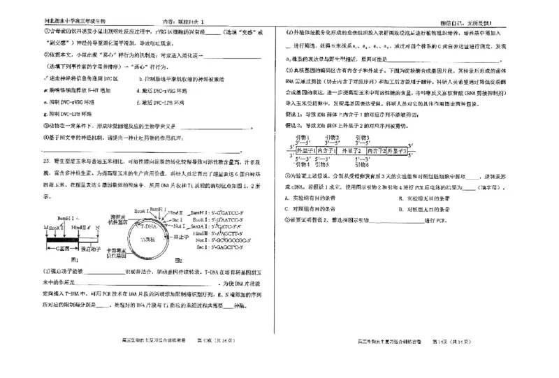 生物四轮冲刺终极押题卷_2025年6月_250605河北省衡水中学2025届高三6月押题密卷