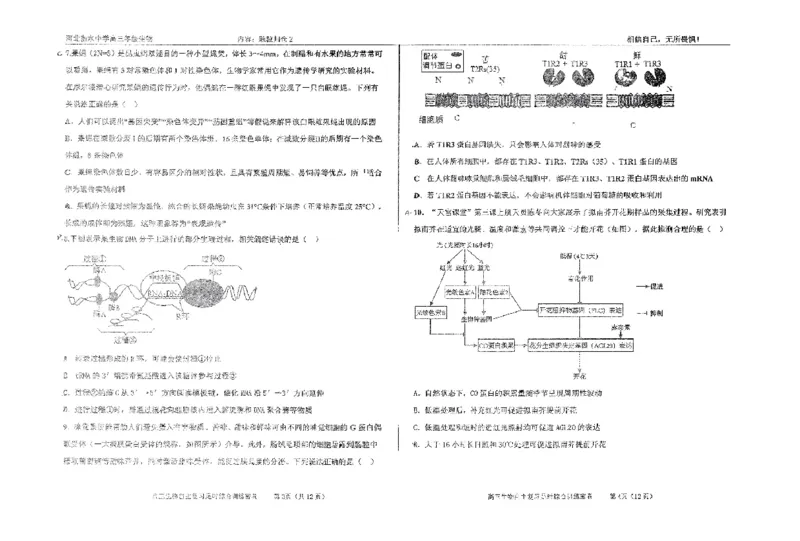 生物四轮冲刺终极押题卷_2025年6月_250605河北省衡水中学2025届高三6月押题密卷