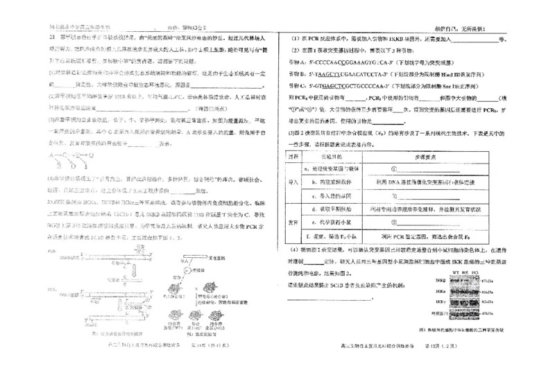 生物四轮冲刺终极押题卷_2025年6月_250605河北省衡水中学2025届高三6月押题密卷
