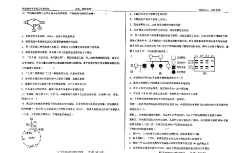 生物四轮冲刺终极押题卷_2025年6月_250605河北省衡水中学2025届高三6月押题密卷