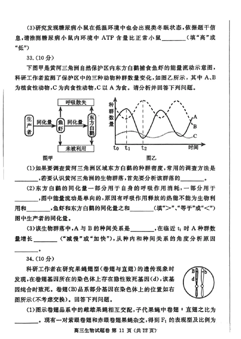 生物-2024届河南省郑州市高三上学期一模考试_2024届河南省郑州市高三上学期一模考试